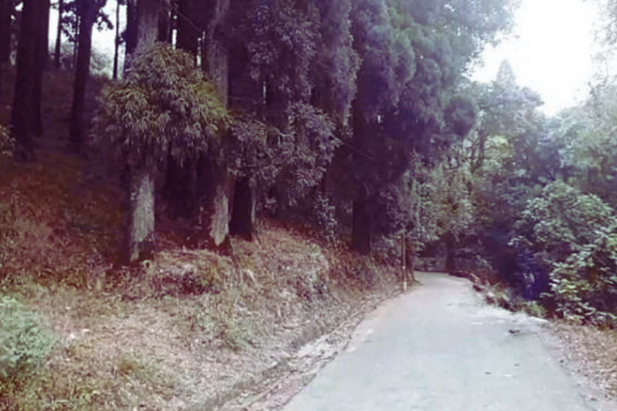 Dow Hill in Kurseong, West Bengal